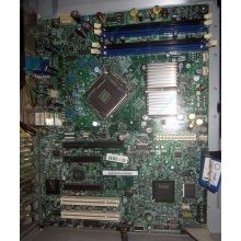 Материнская плата Intel Server Board S3200SH s.775 (Иркутск)