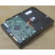 Жесткий диск HP 250Gb 7200 rpm 432337-001/ 399699-001 / 397377-004 (Иркутск)