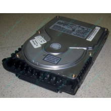 Жесткий диск 18.4Gb Quantum Atlas 10K III U160 SCSI (Иркутск)