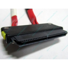 SATA-кабель для корзины HDD HP 451782-001 459190-001 для HP ML310 G5 (Иркутск)