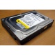 Жесткий диск 160Gb WD WD1602ABKS SATA (Иркутск)
