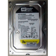 Жесткий диск 160Gb WD WD1602ABKS SATA (Иркутск)
