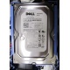 Б/У жёсткий диск Dell SATA (WD WD1601ABYS 7200 rpm) 3.5" HDD (Иркутск)