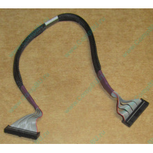 FDD-кабель HP 271946-006 для HP ML370 G3 G4 (Иркутск)