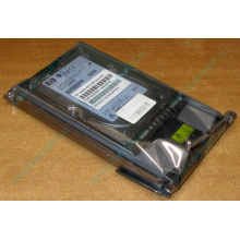 Жёсткий диск 146.8Gb HP 365695-008 404708-001 BD14689BB9 256716-B22 MAW3147NC 10000 rpm Ultra320 Wide SCSI купить в Иркутске, цена (Иркутск).