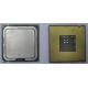 Процессор Intel Celeron D 336 (2.8GHz /256kb /533MHz) SL98W s.775 (Иркутск)