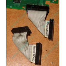 6017B0045701 Шлейф 24 pin для Intel C74974-401 T0043401-B01 корпуса SR2400 (Иркутск)