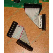 6017B0045701 Шлейф 24 pin для Intel C74974-401 T0043401-B01 корпуса SR2400 (Иркутск)