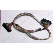 6017B0045301 в Иркутске, 68pin SCSI кабель 26.5" / 57cm для корзины HDD Intel SR2400 (Иркутск)