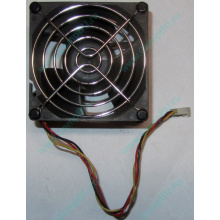 Вентилятор EFB0812HHE IBM 59P23B1 FRU 59P2572 (Иркутск)