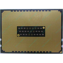 AMD Opteron 6128 OS6128WKT8EGO (Иркутск)
