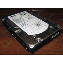 Жесткий диск 300Gb 15k Dell 9CH066-050 ST3300656SS Cheetah 15K.6 6G SAS (Иркутск)