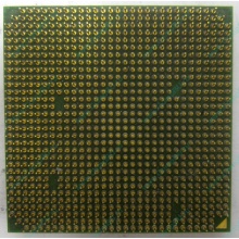 Процессор AMD Sempron 3000+ (1.6GHz) SDA3000IAA3CN s.AM2 (Иркутск)